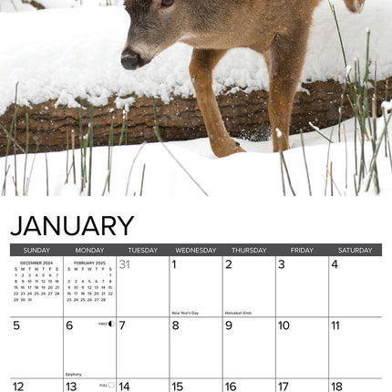 Willow Creek Monster Bucks Kalender 2025