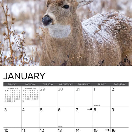 Willow Creek Monster Bucks Kalender 2027