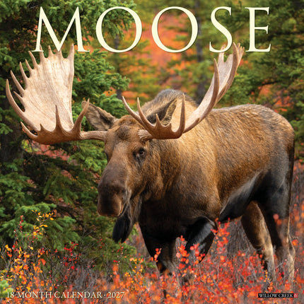 Willow Creek Moose Eland Kalender 2027