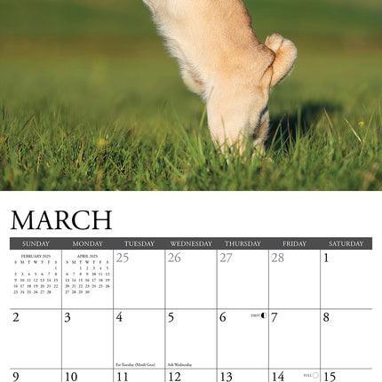 Willow Creek Mopshond Kalender 2025