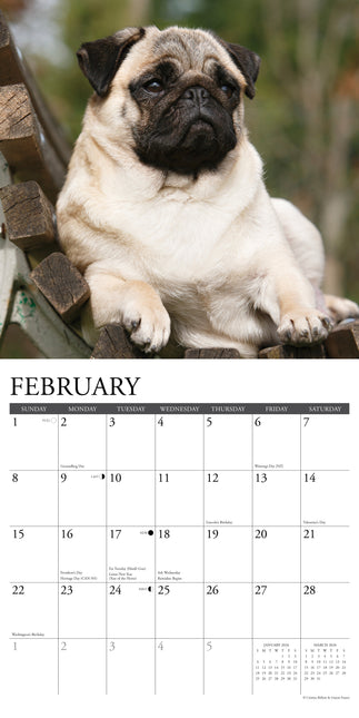 Willow Creek Mopshond Kalender 2026