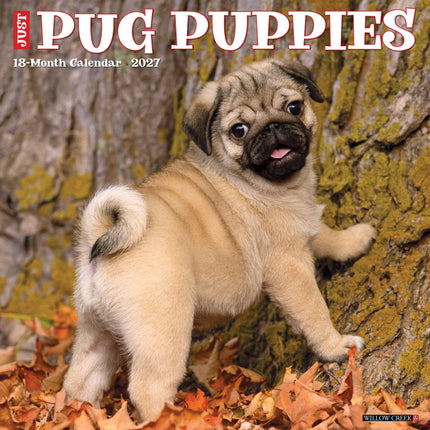 Willow Creek Mopshond Puppies Kalender 2027