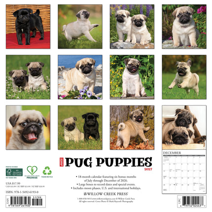 Willow Creek Mopshond Puppies Kalender 2027