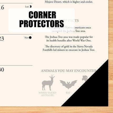 Willow Creek National Parks Desk Pad Kalender 2025 Smal
