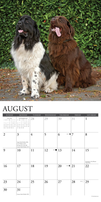 Willow Creek Newfoundlander Kalender 2026