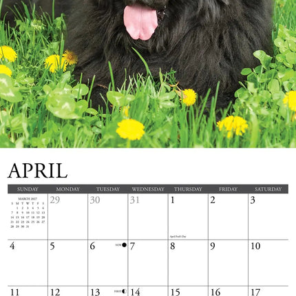 Willow Creek Newfoundlander Kalender 2027