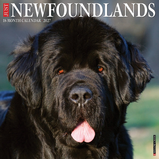 Willow Creek Newfoundlander Kalender 2027