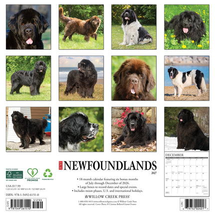 Willow Creek Newfoundlander Kalender 2027