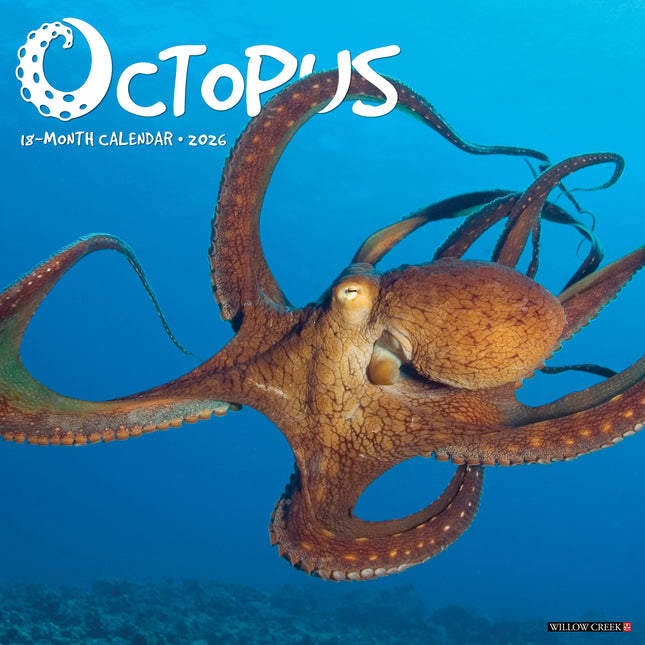 Willow Creek Octopus Kalender 2026