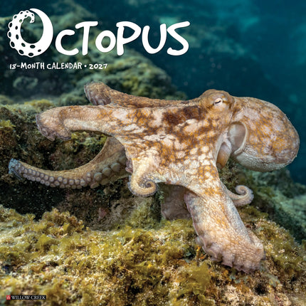 Willow Creek Octopus Kalender 2027
