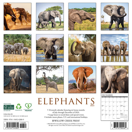 Willow Creek Olifanten Kalender 2025