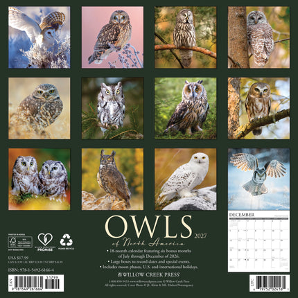 Willow Creek Owls of North America Kalender 2027