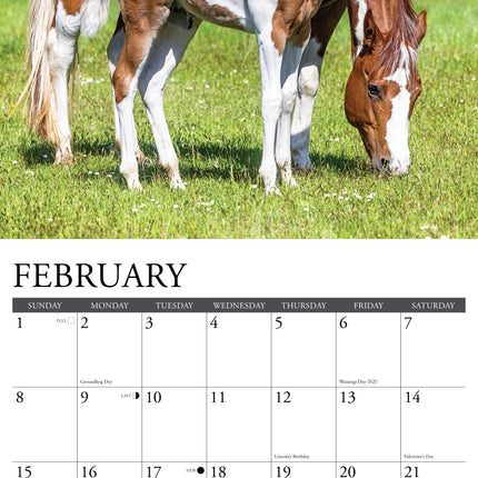 Willow Creek Paarden Kalender 2026