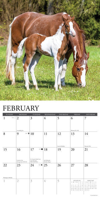 Willow Creek Paarden Kalender 2026