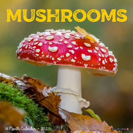 Willow Creek Paddenstoelen Kalender 2025