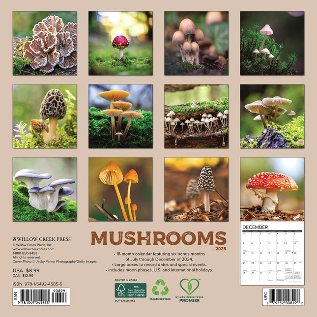 Willow Creek Paddenstoelen Kalender 2025 Mini