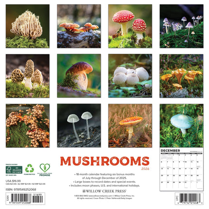 Willow Creek Paddenstoelen Kalender 2026