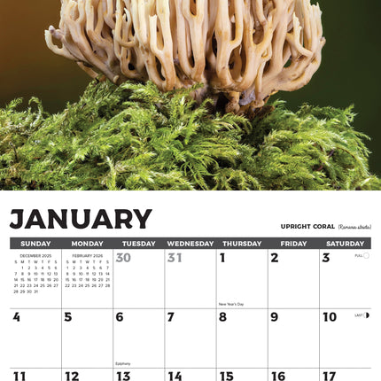 Willow Creek Paddenstoelen Kalender 2026