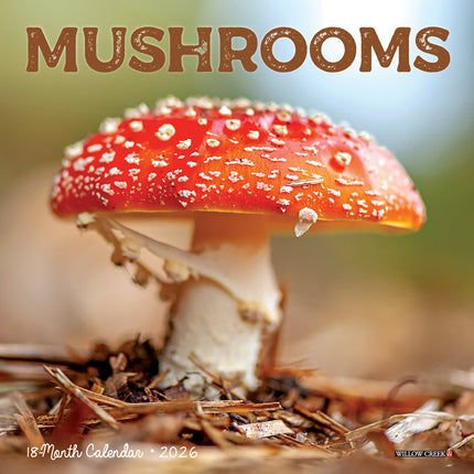 Willow Creek Paddenstoelen Kalender 2026 Mini