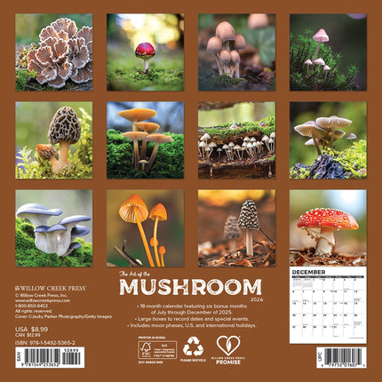 Willow Creek Paddenstoelen Kalender 2026 Mini