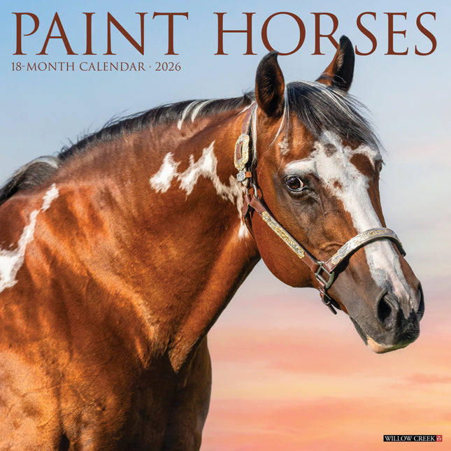 Willow Creek Paint Horses Kalender 2026