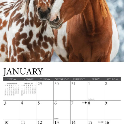 Willow Creek Paint Horses Kalender 2027