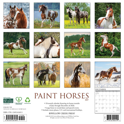 Willow Creek Paint Horses Kalender 2027