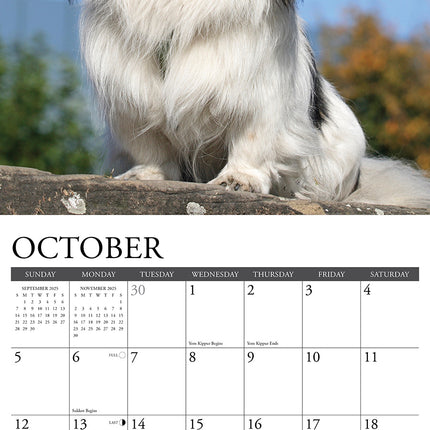 Willow Creek Pekingees Kalender 2025