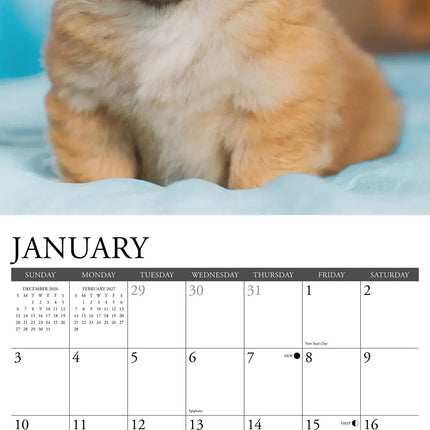 Willow Creek Pekingees Kalender 2027
