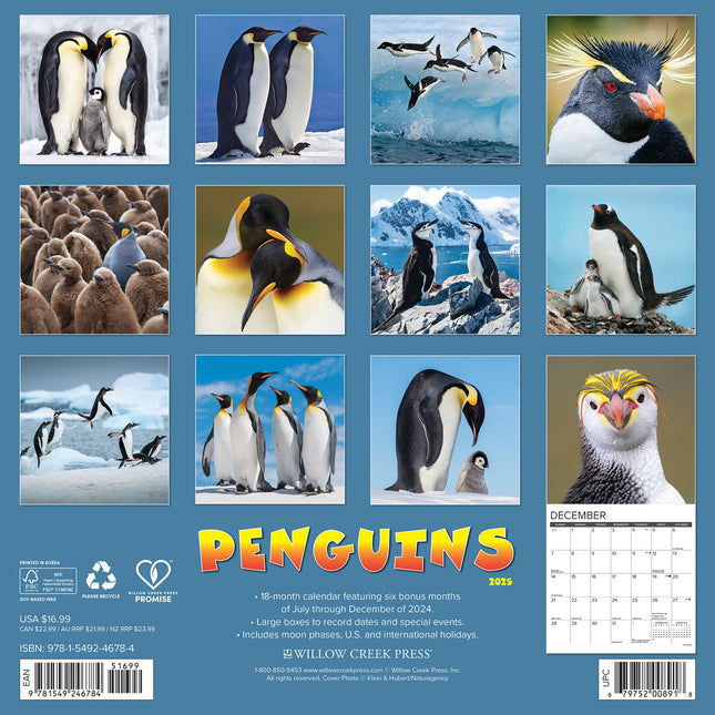 Willow Creek Pinguin Kalender 2025