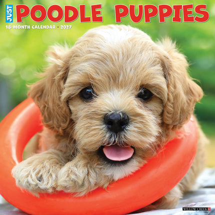 Willow Creek Poedel Puppies Kalender 2027