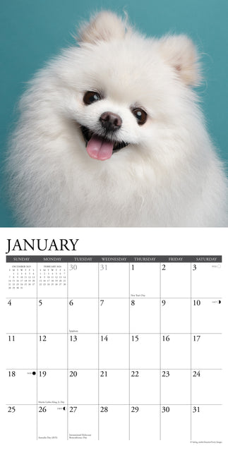 Willow Creek Pomeriaan Kalender 2026