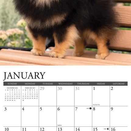 Willow Creek Pomeriaan Kalender 2027