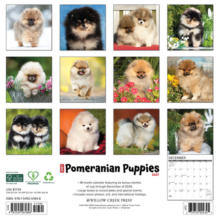 Willow Creek Pomeriaan Puppies Kalender 2027