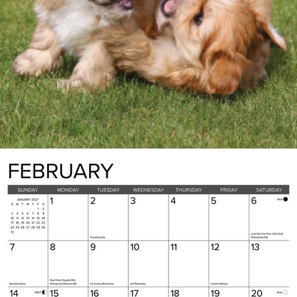 Willow Creek Puppies Kalender 2027