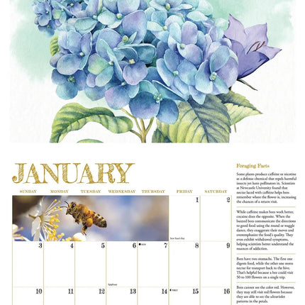 Willow Creek Reasons to Bee Kalender 2027