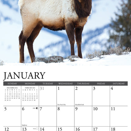 Willow Creek Rendier Kalender 2025