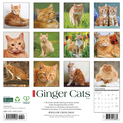 Willow Creek Rode Katten Kalender 2027