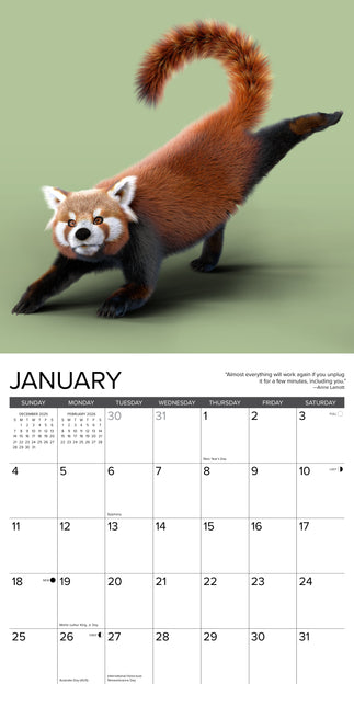 Willow Creek Rode Panda Yoga Kalender 2026