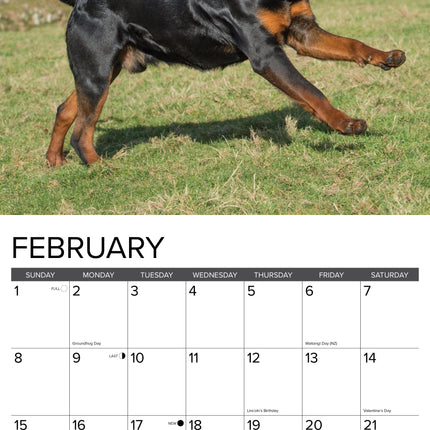 Willow Creek Rottweiler Kalender 2027