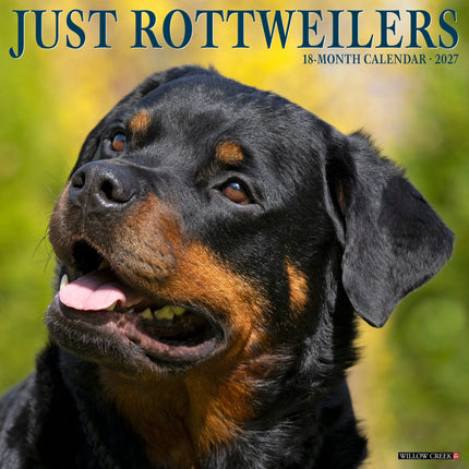 Willow Creek Rottweiler Kalender 2027