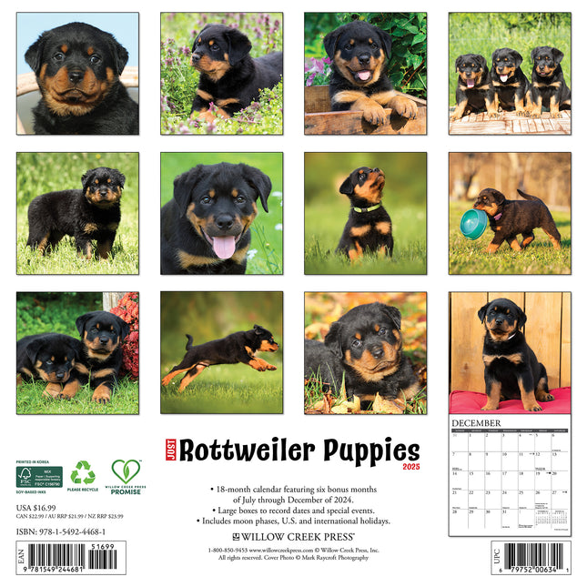 Willow Creek Rottweiler Puppies Kalender 2025
