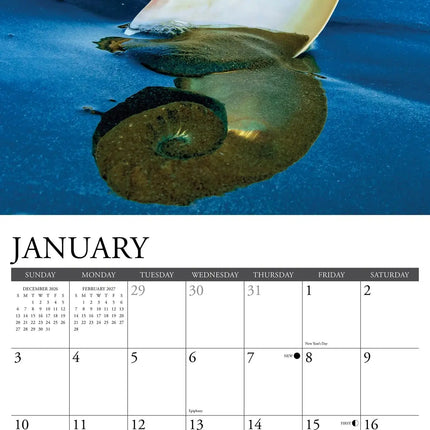 Willow Creek Schelpen Kalender 2027