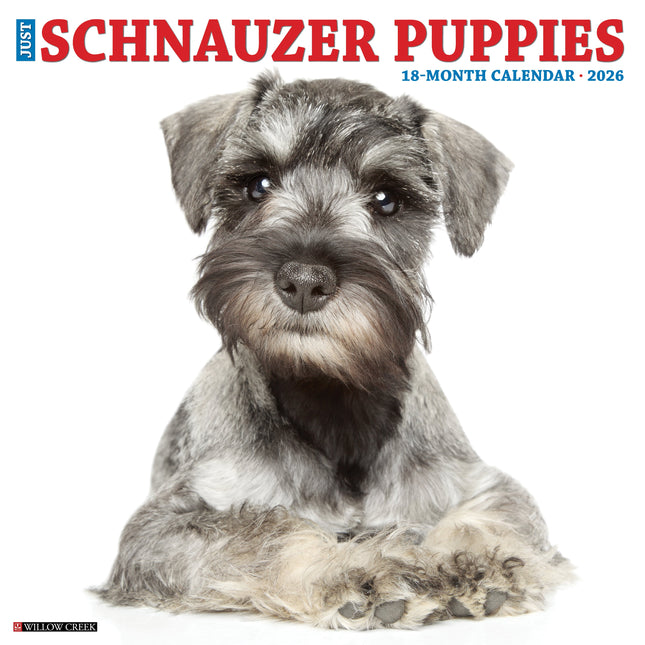 Willow Creek Schnauzer Puppies Kalender 2026