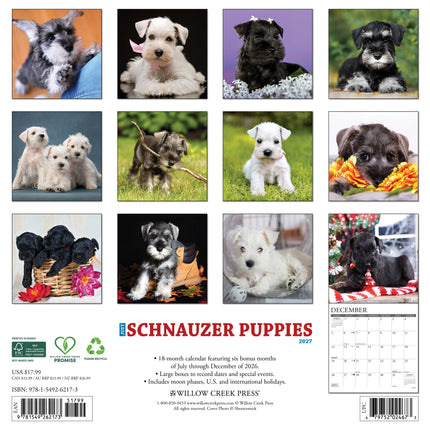 Willow Creek Schnauzer Puppies Kalender 2027