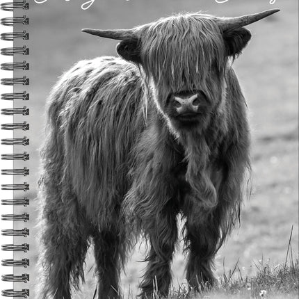 Willow Creek Schotse Hooglanders Agenda 2027