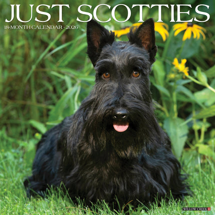 Willow Creek Schotse Terrier Kalender 2026