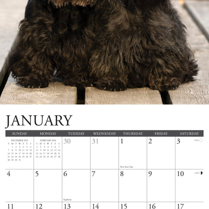 Willow Creek Schotse Terrier Kalender 2026