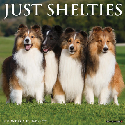 Willow Creek Shetland Sheepdog Kalender 2027