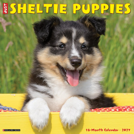 Willow Creek Shetland Sheepdog Puppies Kalender 2027